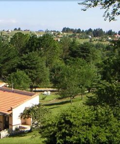 Cabañas Los Tilos