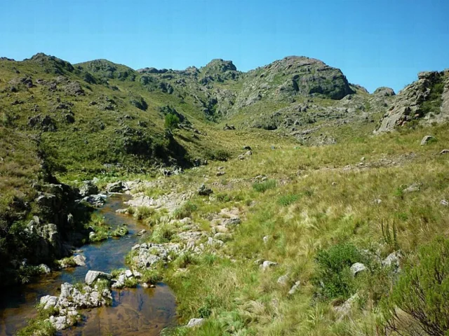 Icho Cruz
