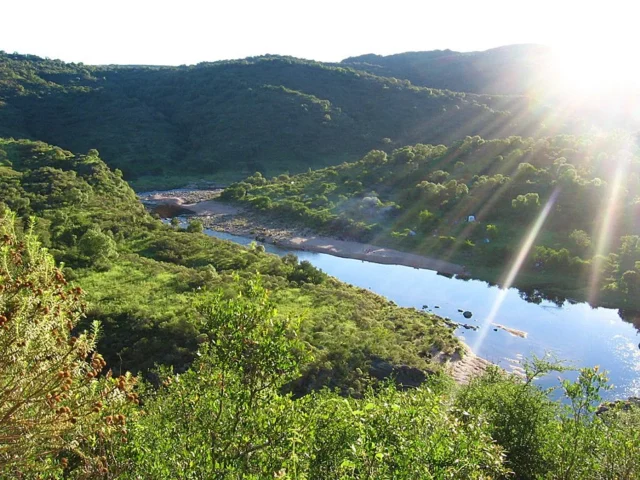 Icho Cruz