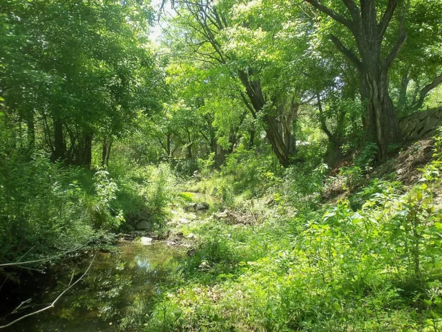 San Antonio de Arredondo