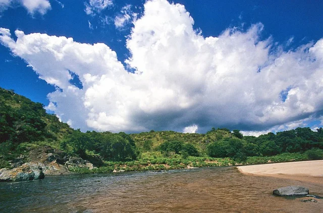 Tala Huasi