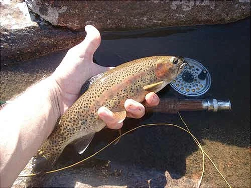 Pesca en Icho Cruz