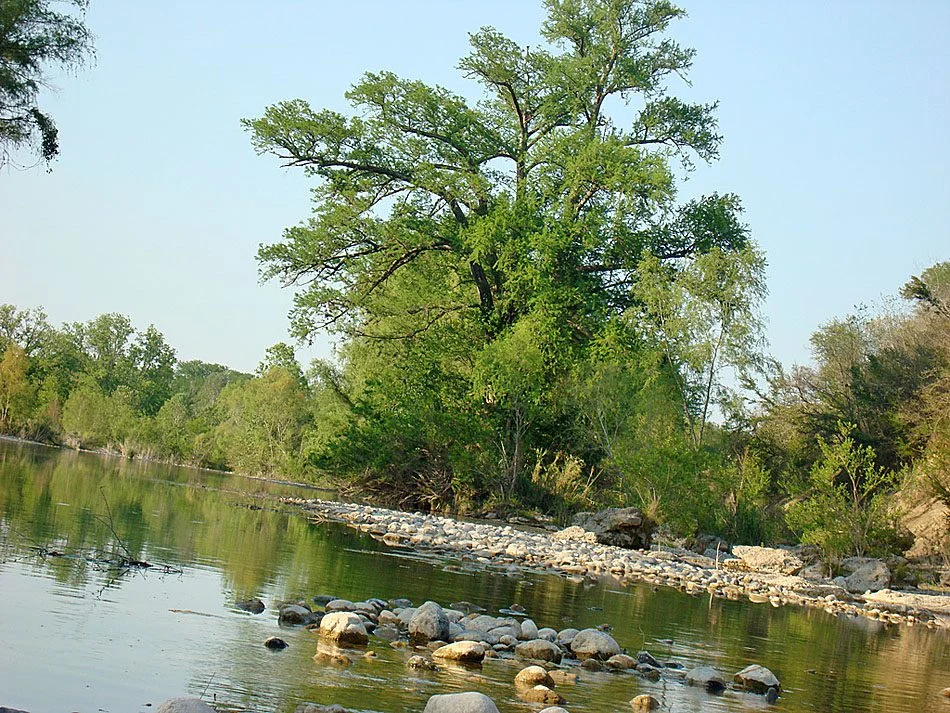 Río San Antonio