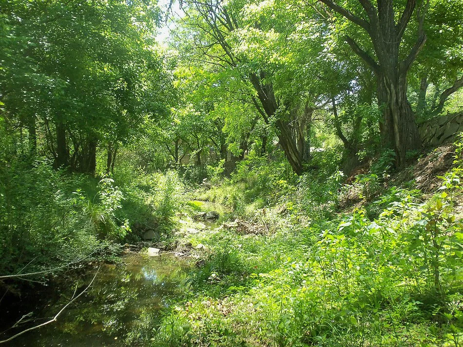 San Antonio