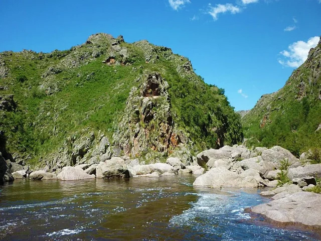 Icho Cruz