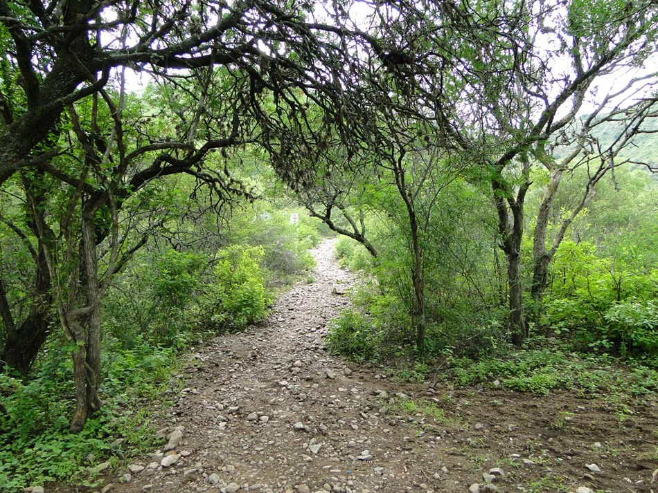 San Antonio de Arredondo