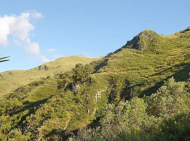 Cerro La Banderita